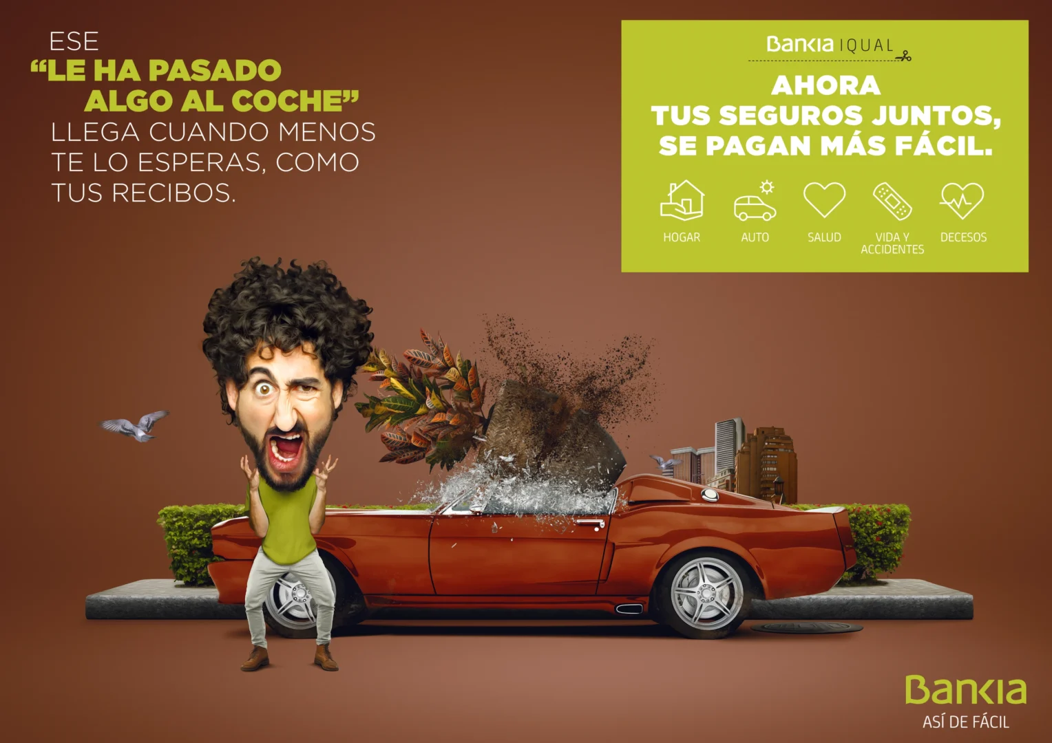 Bankia - iqual