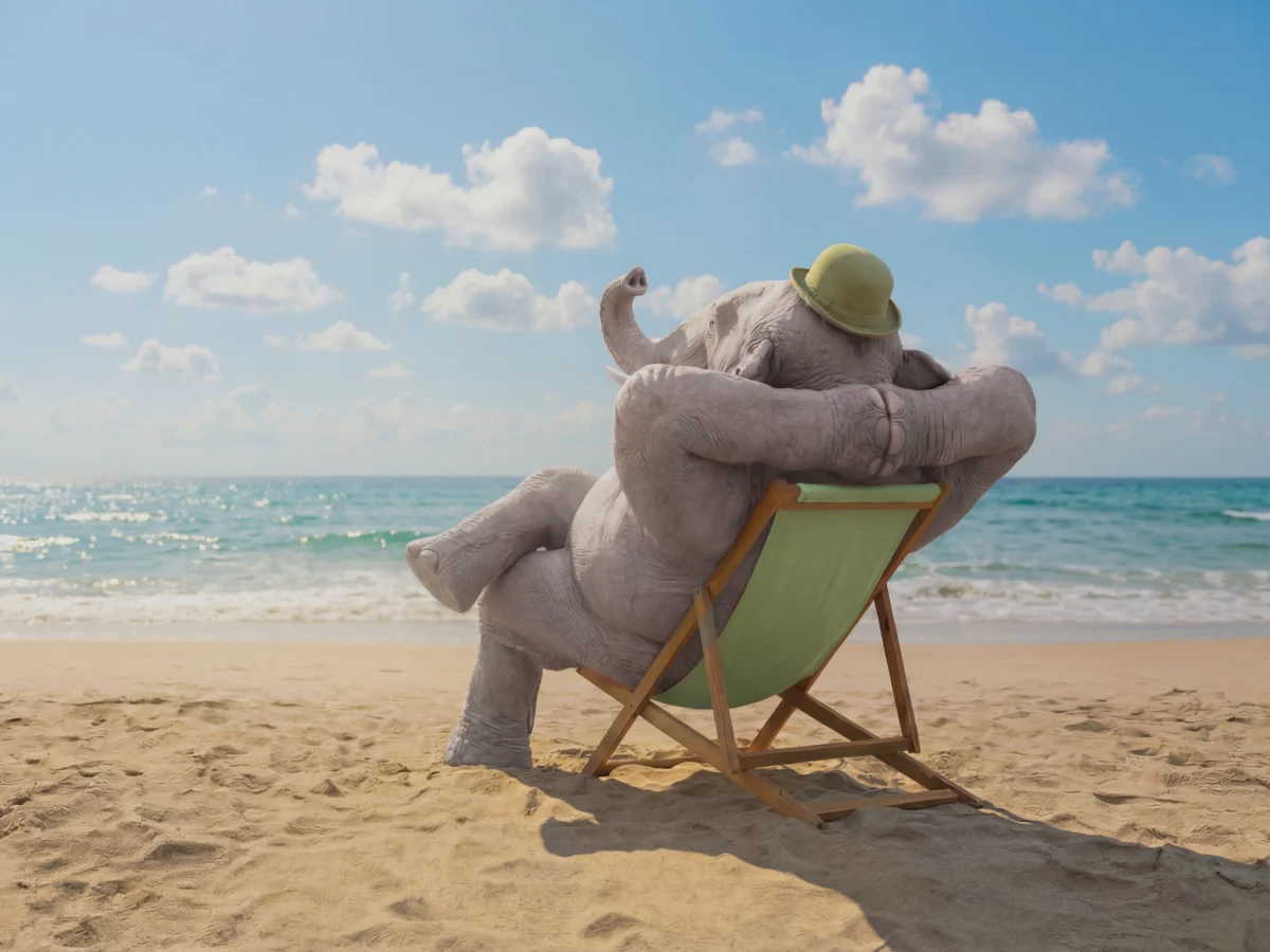 Elefante Relajado