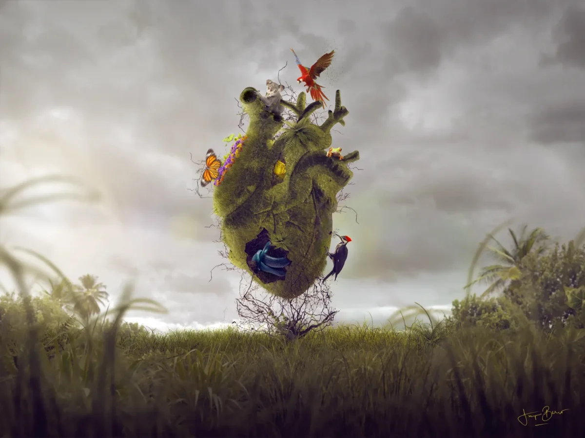 Heart Feelings Field