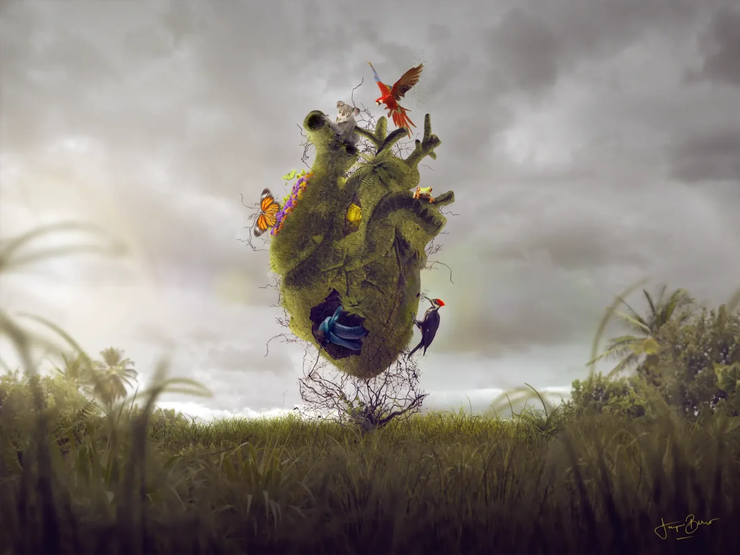 Heart Feelings Field