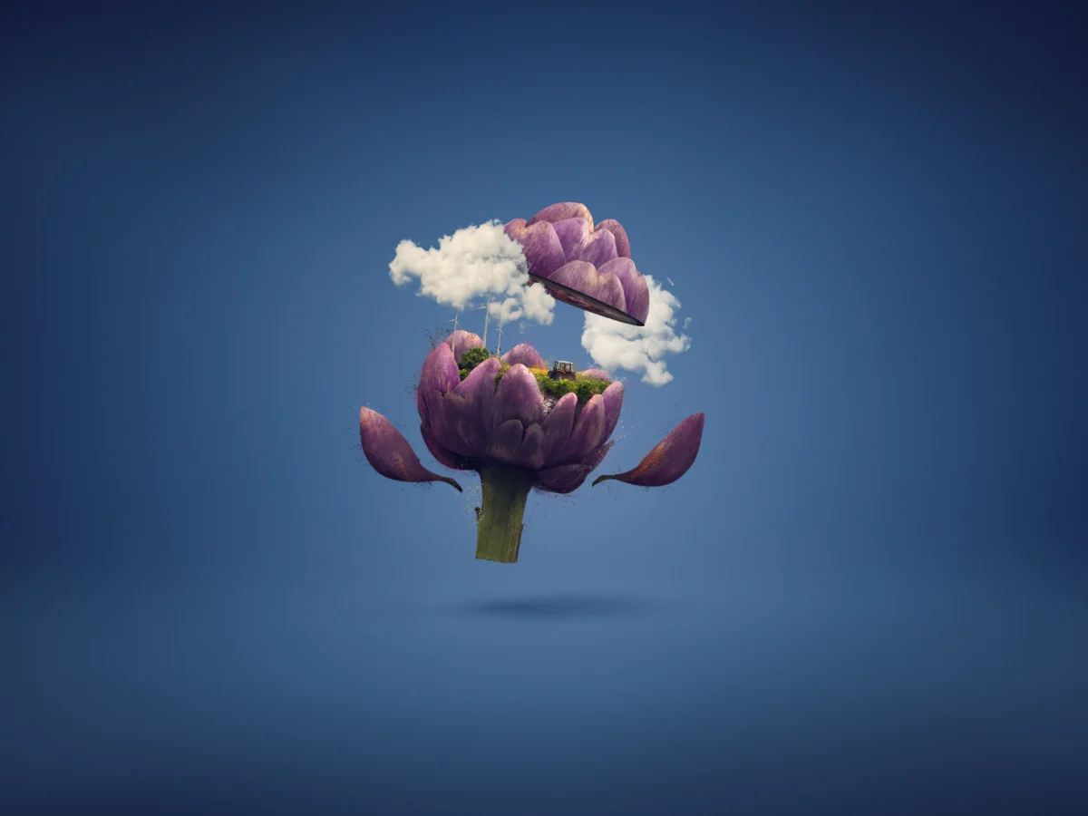 Alimentos de España