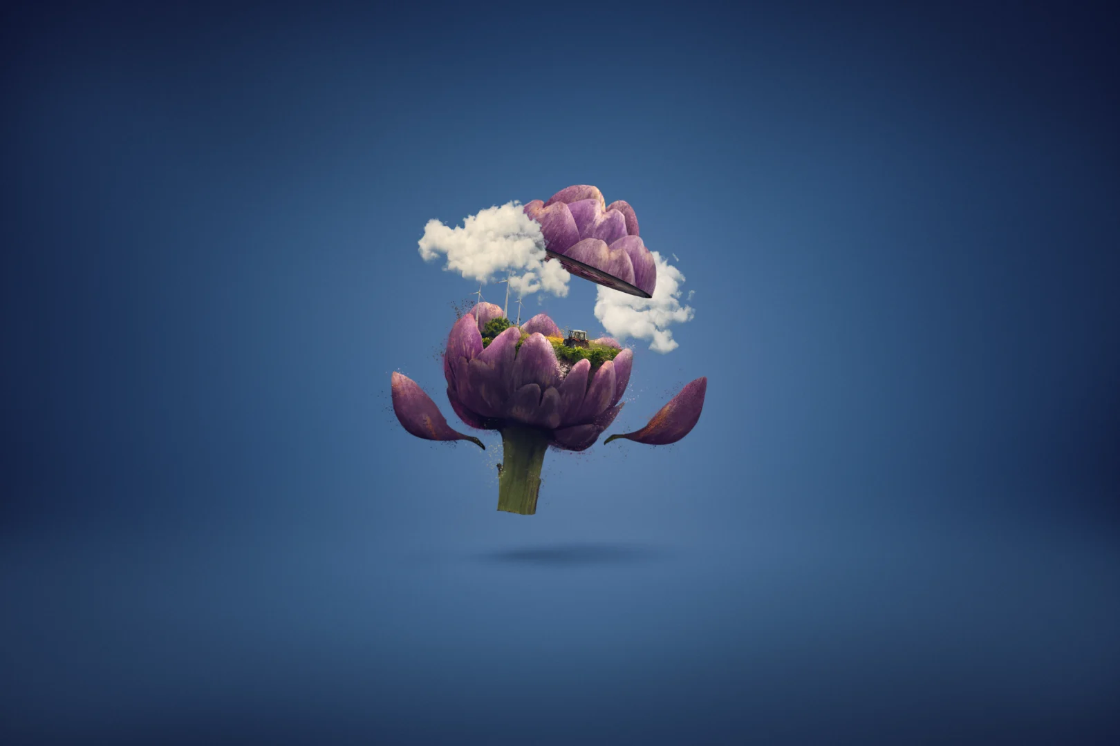 Alimentos de España