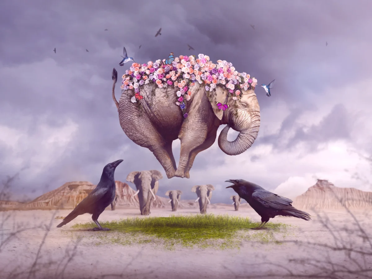 Surreal Elephant Desert Flowers