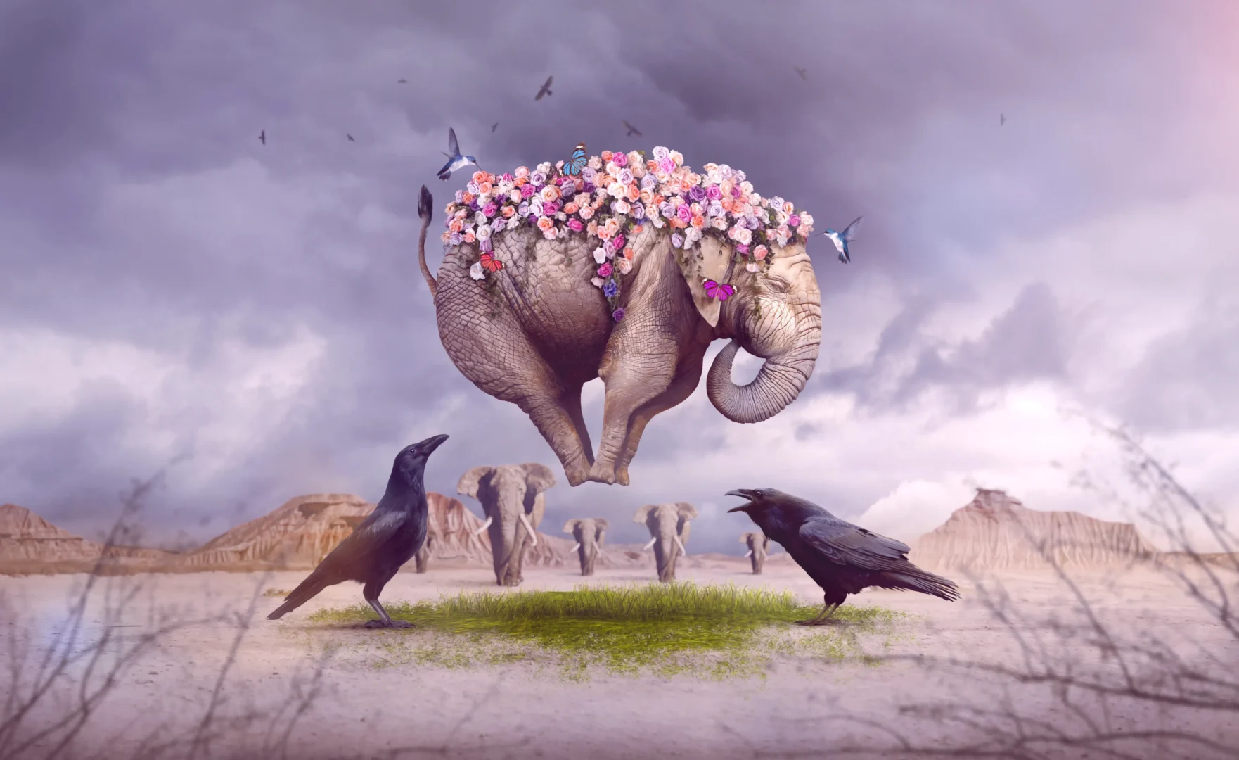 Surreal Elephant Desert Flowers